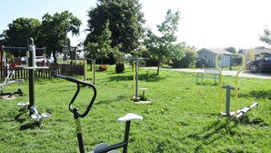 Utegym i en park med gräs och träd.