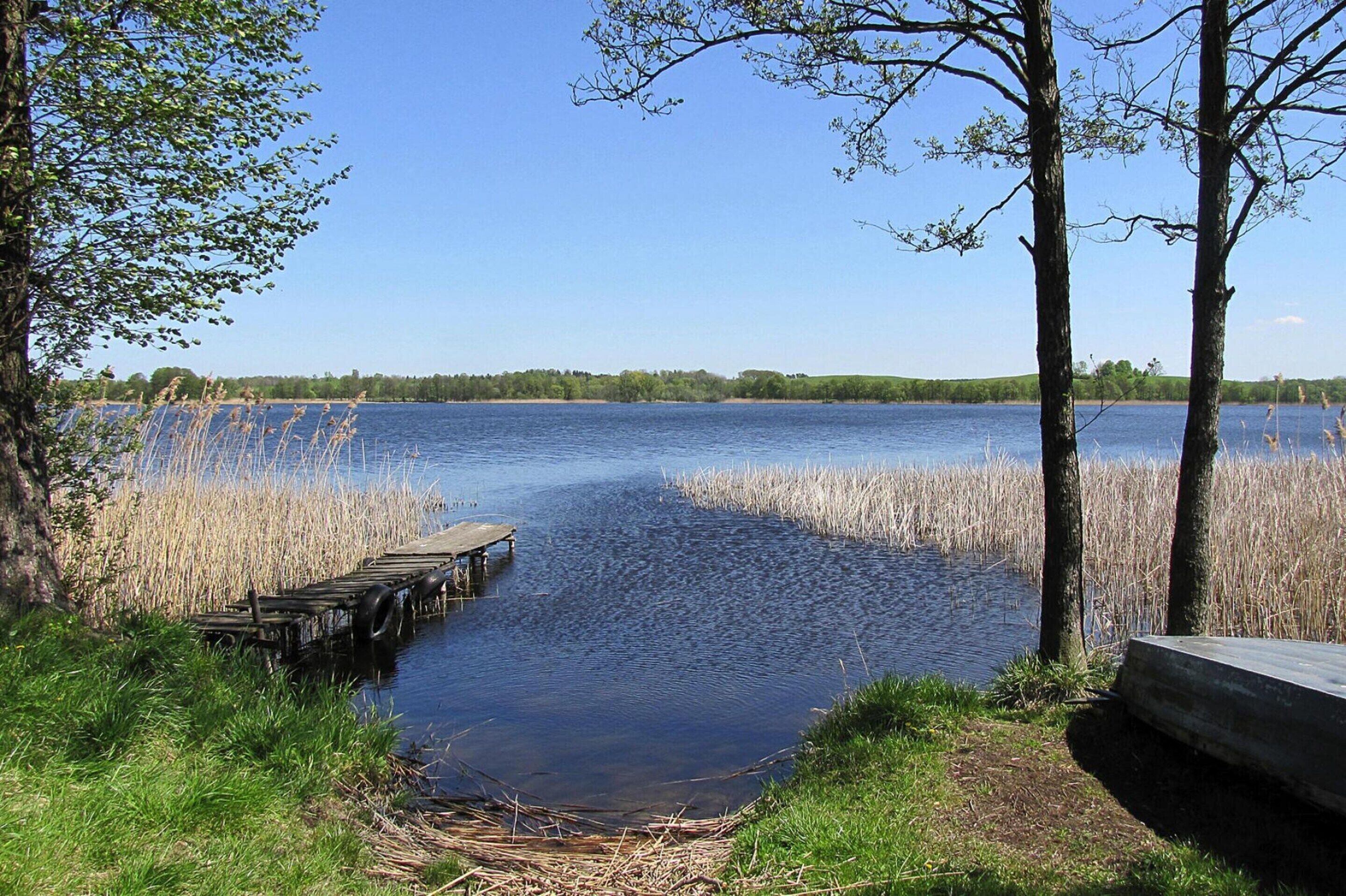 A calm lake with a wooden dock extending into the water, surrounded by trees and reeds.