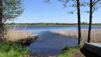 A calm lake with a wooden dock extending into the water, surrounded by trees and reeds.