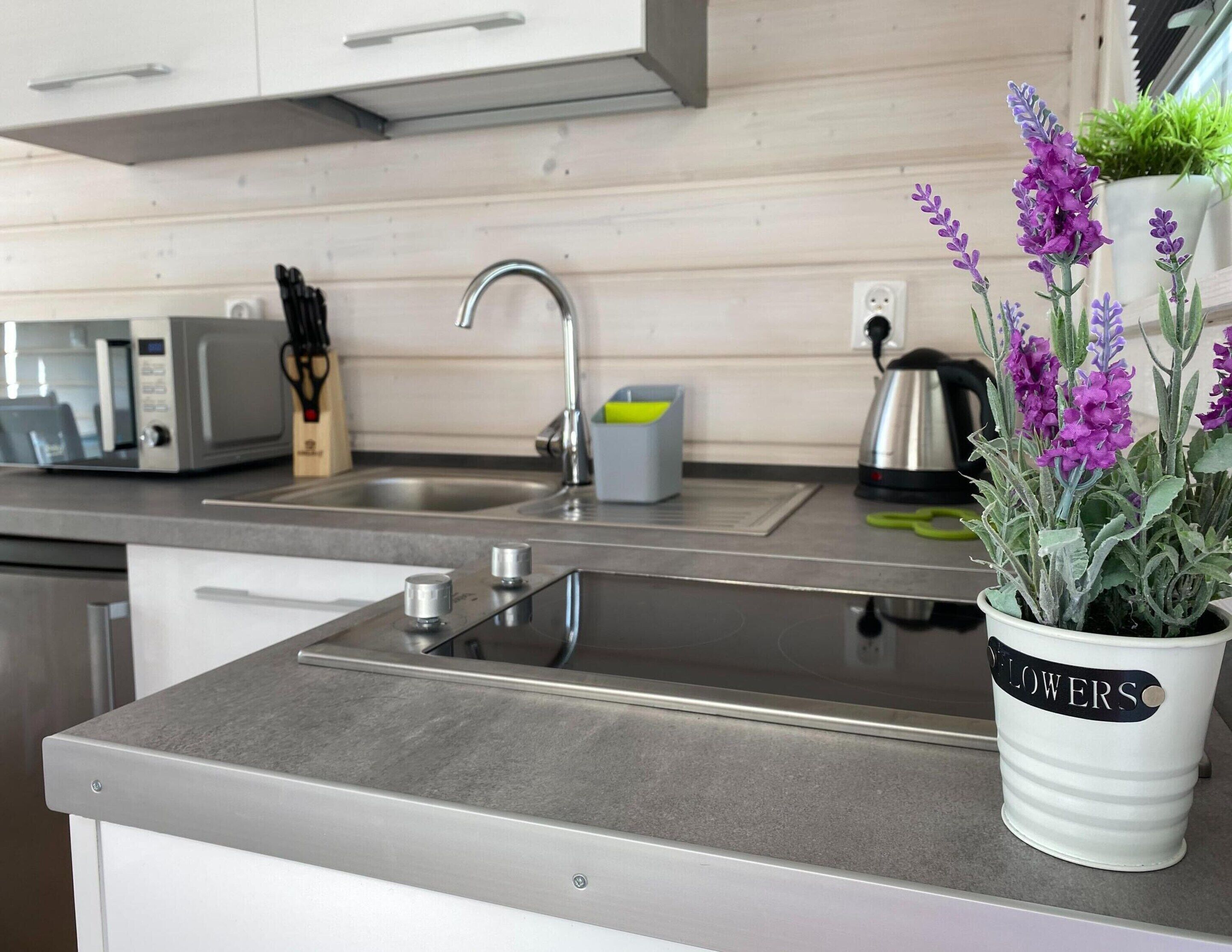 A modern kitchen with stainless steel appliances, a sink, and a potted lavender plant.