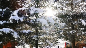 A snowy outdoor area with a wooden fence, a bench, and a lamp post. - Holiday Home, Krimml (Krimml)