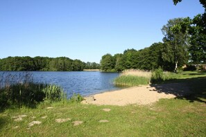 Escape to a serene lakeside haven with a calm lake, grassy beach, and lush greenery.