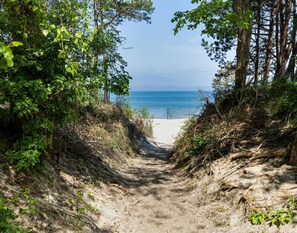 Un sendero arenoso que lleva a una playa, flanqueado por abundante vegetación.