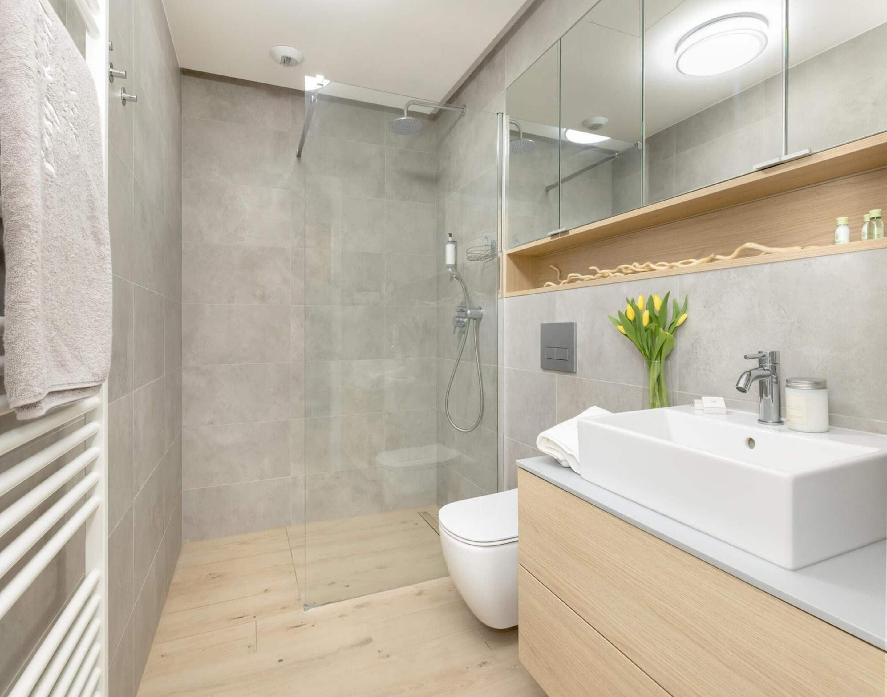 A modern bathroom with a walk-in shower, a toilet, and a vanity with a mirror.