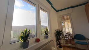 Una habitación con ventanas amplias, un radiador, una planta en maceta, una manzana roja y una silla azul.