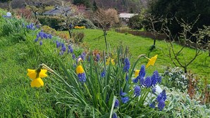 Un jardín con diversas flores y vistas a una casa y colinas al fondo.