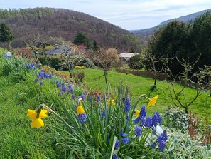 Lägenhet | Trädgård