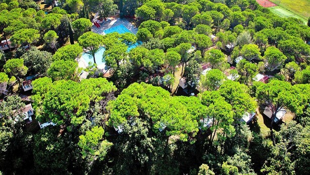 An aerial view of a residential area with a swimming pool surrounded by lush greenery and houses. - Bungalow in the Residence Belvedere in Grado (Aquileia)