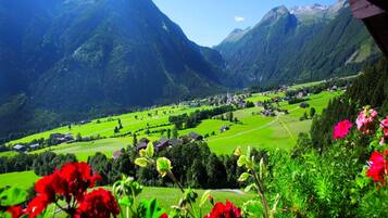 Apartment | View from property