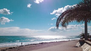 Una playa con una palmera, cielo despejado y océano.