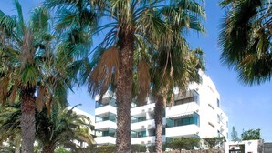 Un edificio de varios pisos con balcones, rodeado de palmeras y un muro de piedra.