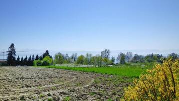 Apartment | View from property