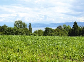 Appartement | Vue depuis l’hébergement