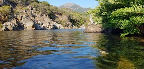 Een heldere rivier met rotsachtige oevers en begroeiing.