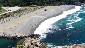 A coastal beach with a rocky shoreline, a sandy beach area, and a forested hillside in the background.