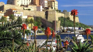 A coastal town with historic buildings, a marina, and palm trees.