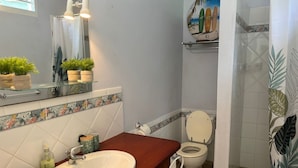 Un baño con lavamanos, inodoro y ducha.