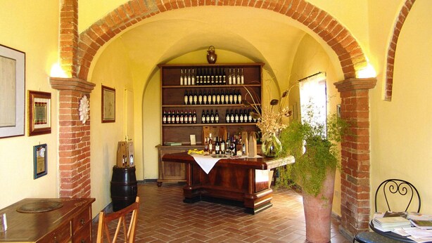 A room with a brick fireplace, a wooden bar with a wine rack, and a large potted plant. - Agriturismo Poggio al Sole, Vinci (Vinci)