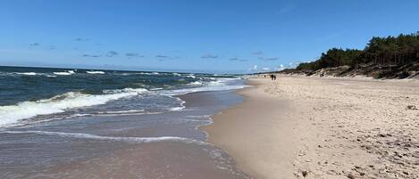 單棟房屋 | 住宿景觀