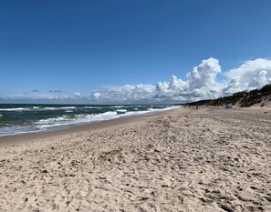 House | View from property - Holiday Home Lazy Near Seaside Beach (gmina Sianów)