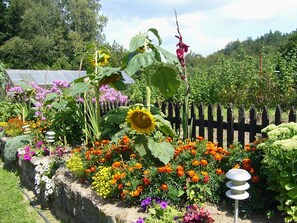 Villa | Garden