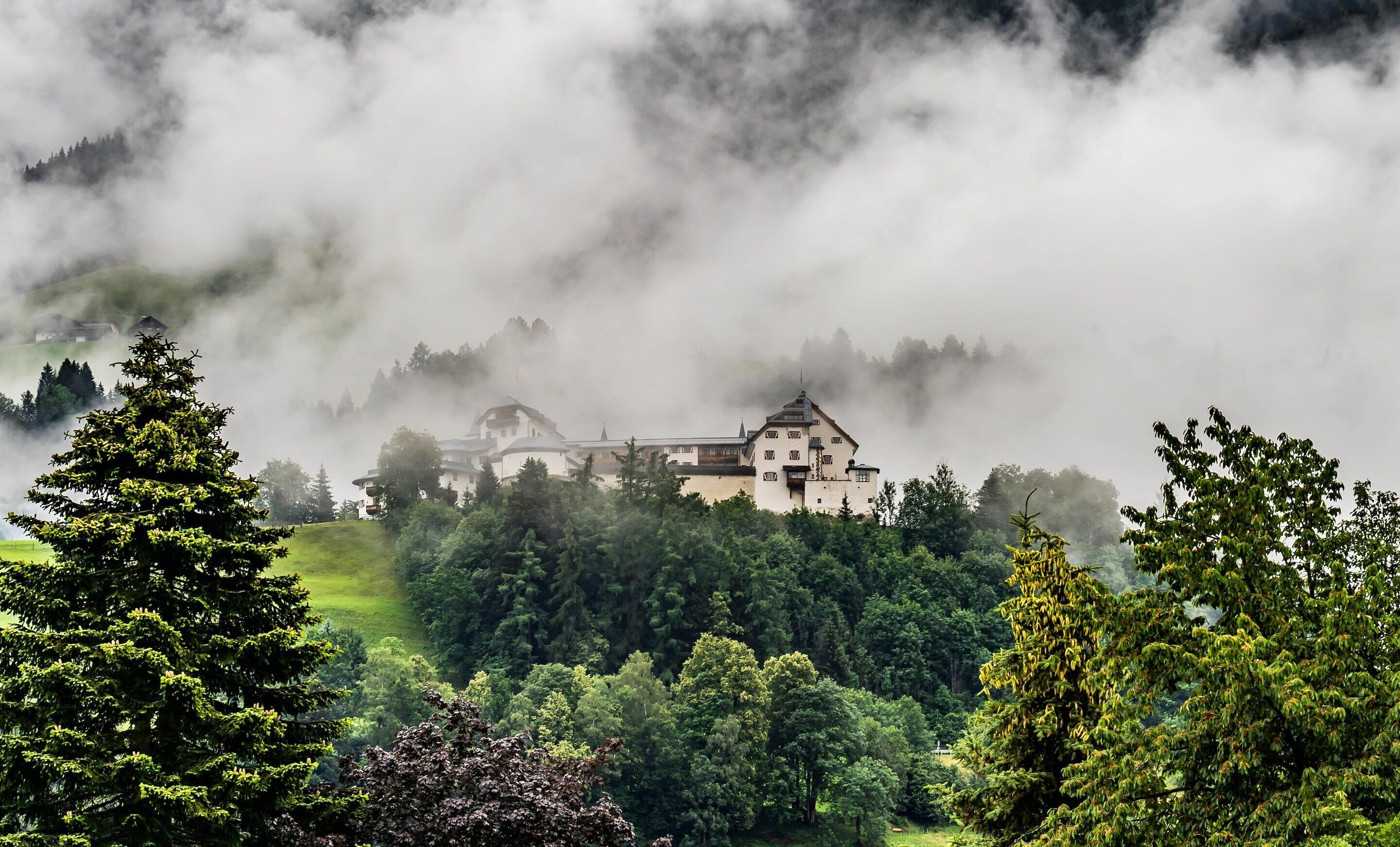 A historic building with a prominent tower, surrounded by dense forest and enveloped in mist.