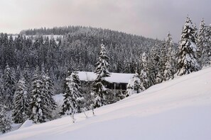 Exterior - Apartment in Haidmuhle in a Beautiful Area (Haidmuhle)