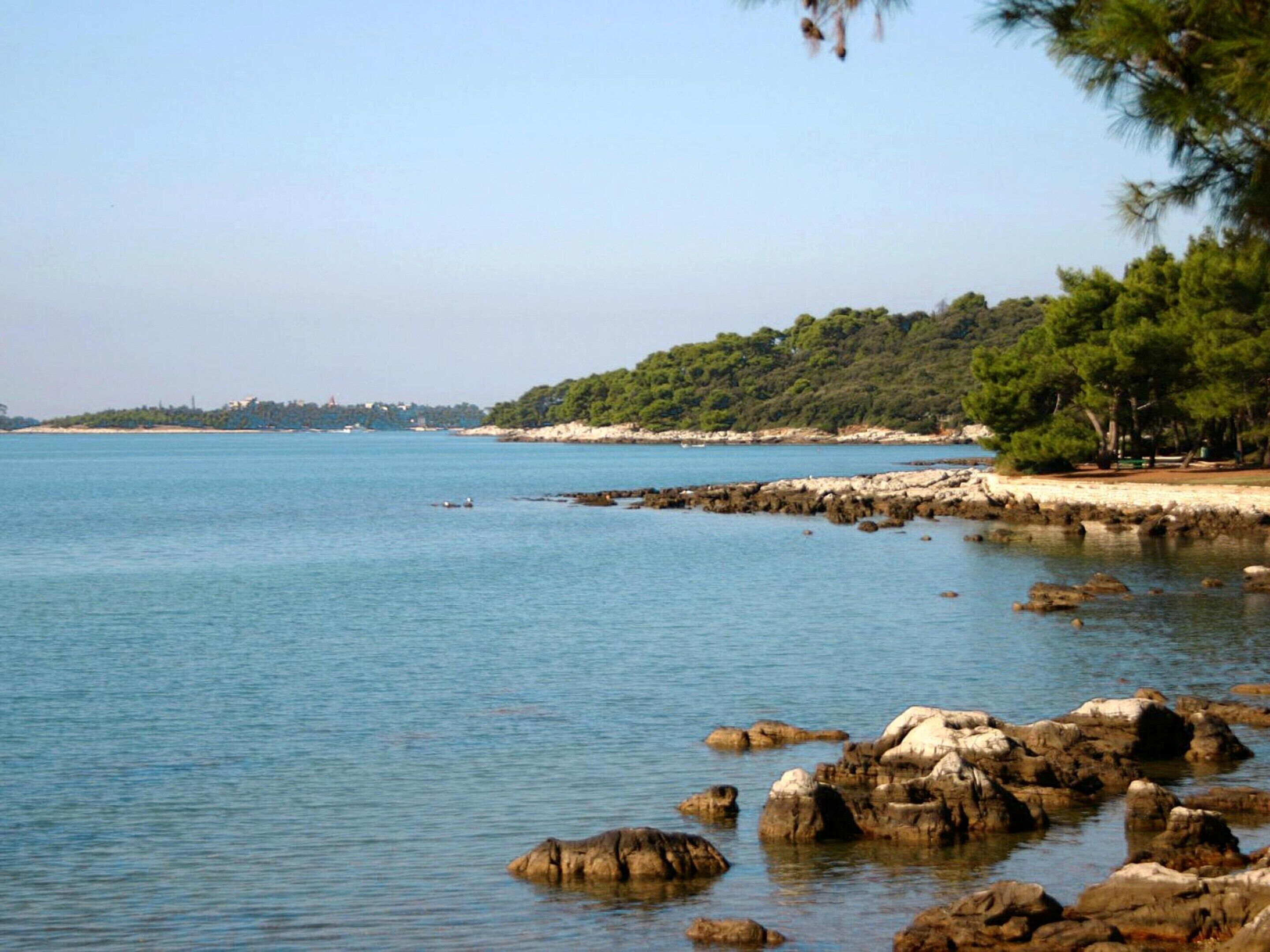 A coastal landscape with clear water, rocky shore, and dense greenery.