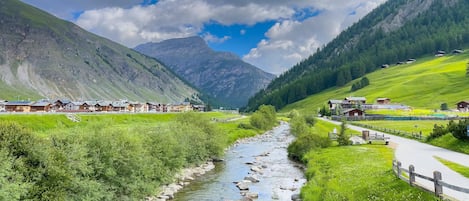 A mountain landscape with a river, green fields, and wooden houses.