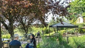 An outdoor seating area with tables and chairs under a tree, surrounded by greenery and a gazebo. - Deliziosa Camera in Agriturismo a 7 km da Firenze (Toscana)