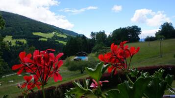 House | View from property