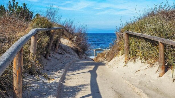 A sandy path leading to the ocean with wooden railings on both sides.