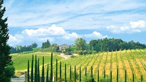 A vineyard with rows of grapevines, a house in the background, and a clear sky. - Apartment in Tuscany With Pool & Golf Access (Gambassi Terme)