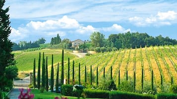 Vue depuis lâhĂ©bergement