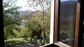 A view through a window of a garden with trees and a stone bench. - Romantic studio apartment with a view (Toscana)