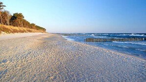 A beach with a wooden jetty extending into the water, a sandy shore, and a line of trees in the background. - Apartment in Pobierowo Near Baltic Beach (Rewal)