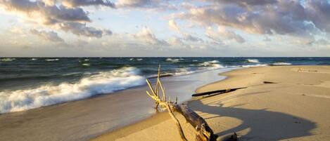 A beach with a driftwood piece on the sand, waves approaching, and a partly cloudy sky.