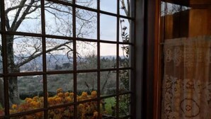 Une pièce dotée d’une grande fenêtre ornée d’une grille métallique, qui offre une vue sur un jardin où poussent des fleurs jaunes.