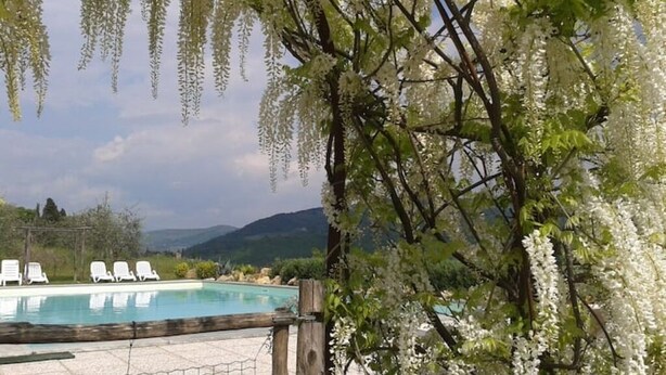 Un espace piscine avec des chaises blanches et une clôture en bois, entouré d’arbres à fleurs blanches.