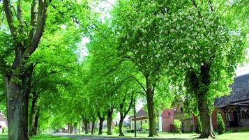 Apartment | Exterior