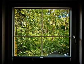 House | View from property