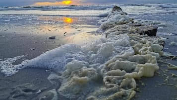 Apartment | Blick von der Unterkunft