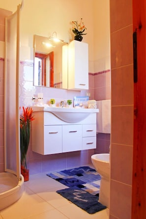 Maison | Salle de bain | Douche