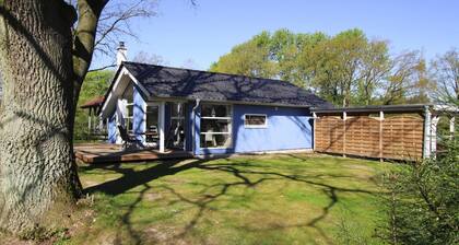 Ferienhaus Seeadler mit Sauna am Dummer See