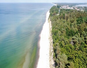 Vue aérienne d’une zone côtière comprenant une plage, une forêt dense et un phare.