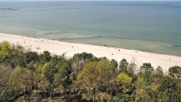 Egy strand, amelyről egy móló nyúlik a vízbe, és amelyet sűrű fák vesznek körül.