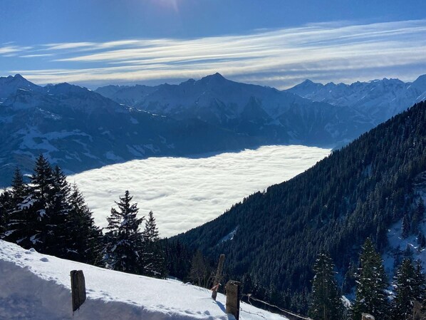 Een bergachtig landschap met een door sneeuw bedekte vallei en dicht bos.