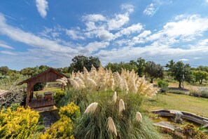 House - Pool Fun House Betiga 1 With gym (Vodnjan)