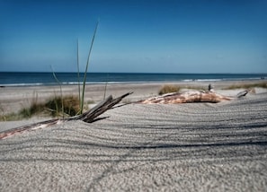 A beach scene with a driftwood piece on the sand and the ocean in the background. - Familienfreundliches Reihenhaus mit Wlan in Buchholz am Muritzsee (Buchholz)