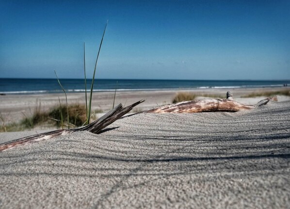 House | View from property